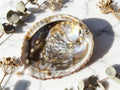 Coquille ormeau naturelle 138g — purification, bien-être & décoration naturelle